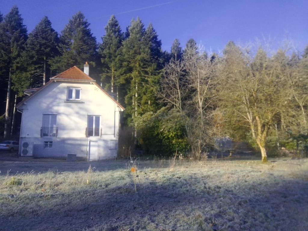 Vosges House 110 M2 In The Heart Of Nature L'Oree Du Bois Saint-Michel-sur-Meurthe Esterno foto