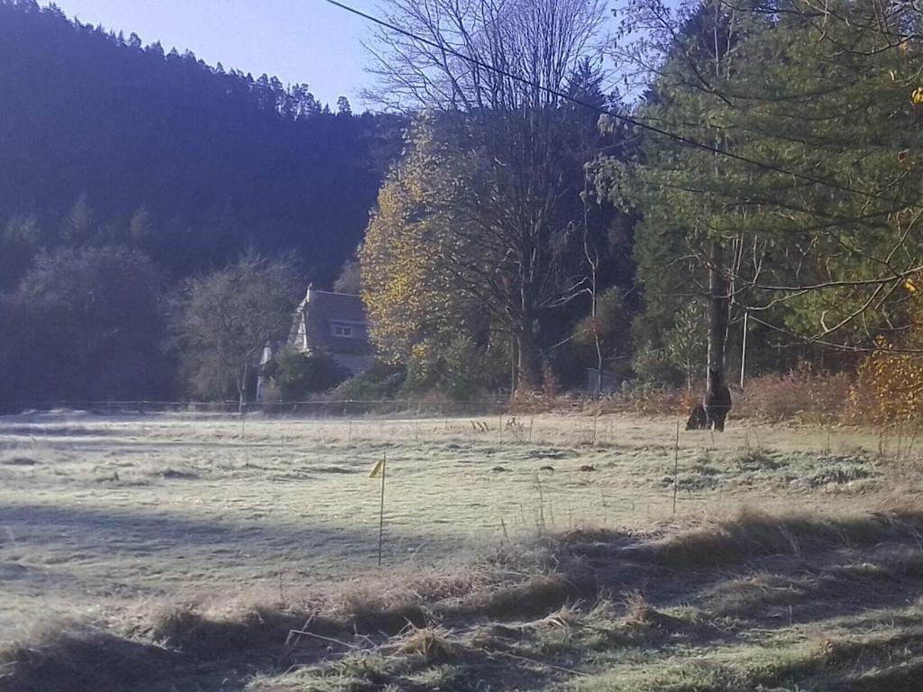 Vosges House 110 M2 In The Heart Of Nature L'Oree Du Bois Saint-Michel-sur-Meurthe Esterno foto