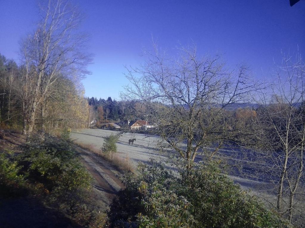 Vosges House 110 M2 In The Heart Of Nature L'Oree Du Bois Saint-Michel-sur-Meurthe Esterno foto