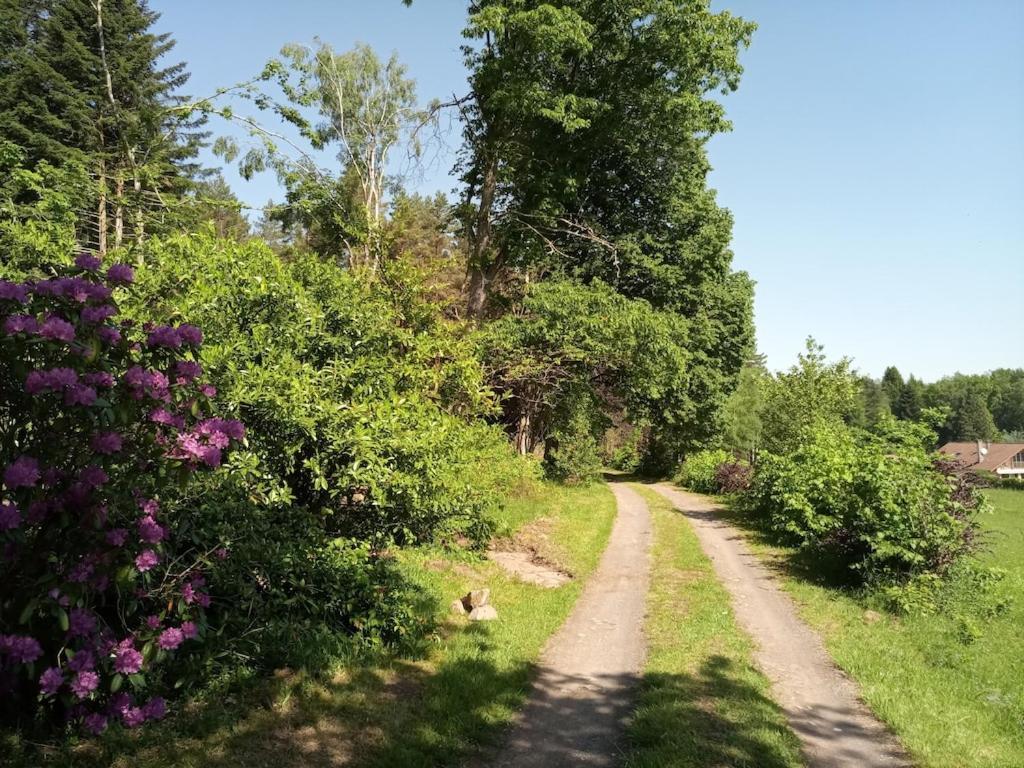 Vosges House 110 M2 In The Heart Of Nature L'Oree Du Bois Saint-Michel-sur-Meurthe Esterno foto