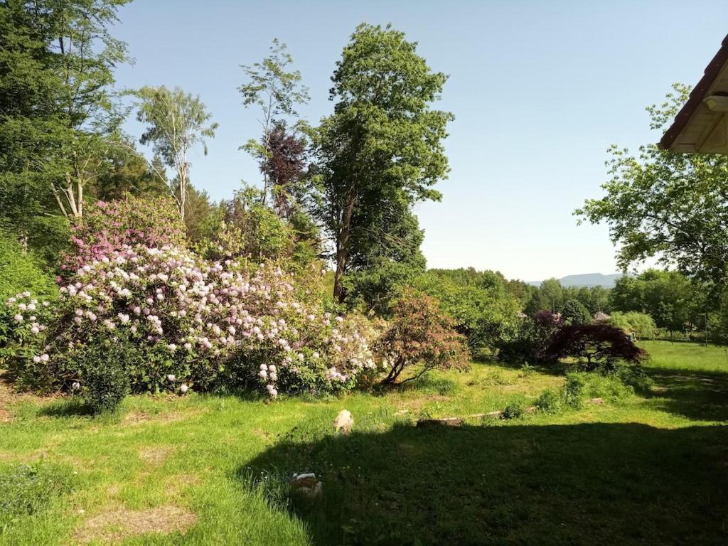 Vosges House 110 M2 In The Heart Of Nature L'Oree Du Bois Saint-Michel-sur-Meurthe Esterno foto