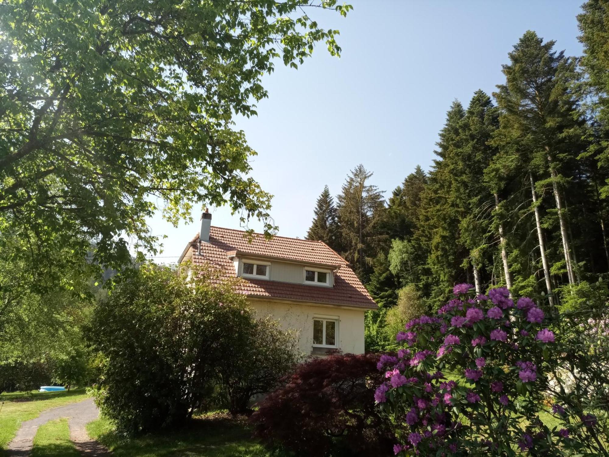 Vosges House 110 M2 In The Heart Of Nature L'Oree Du Bois Saint-Michel-sur-Meurthe Esterno foto